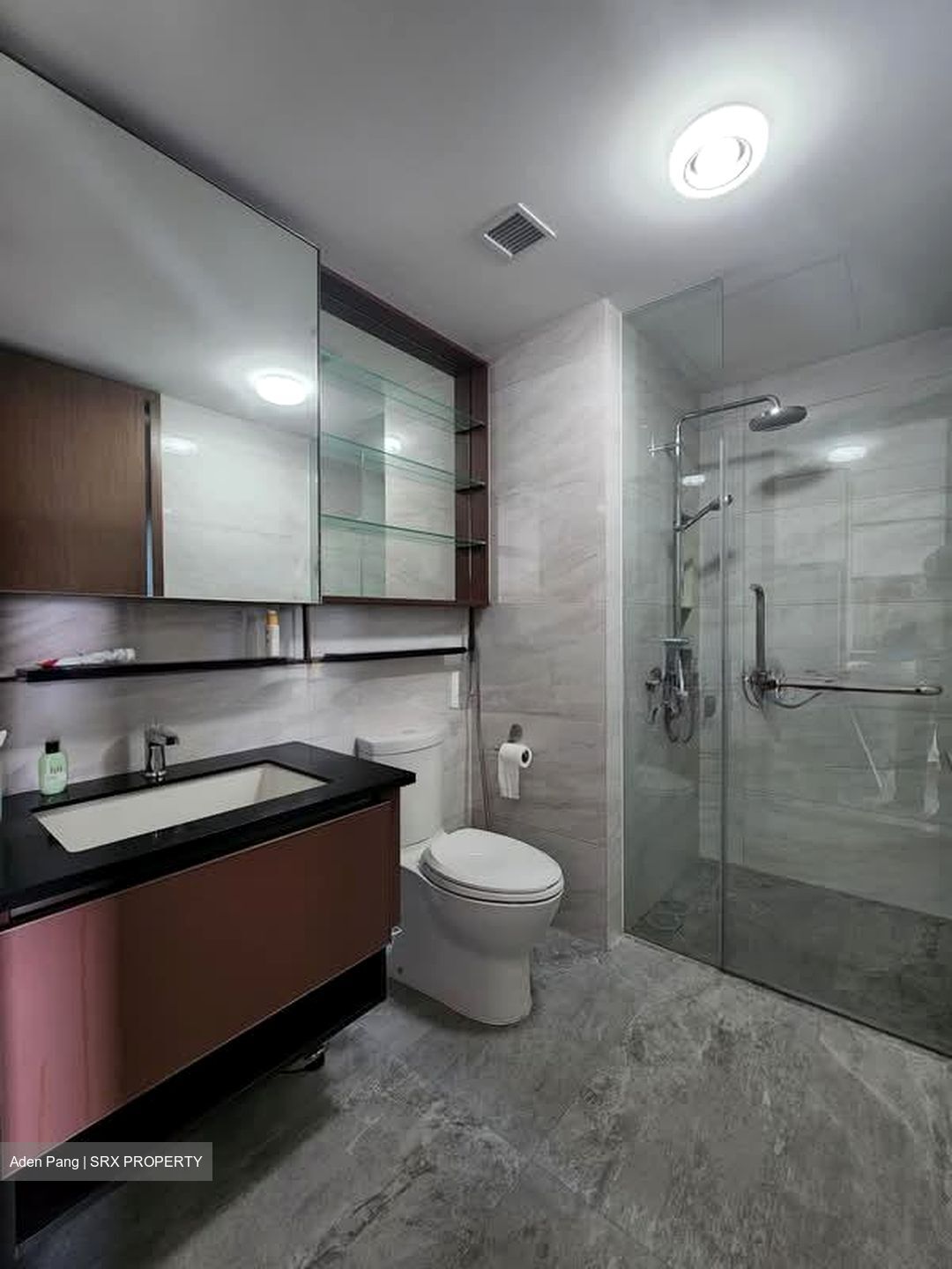 Normanton Park (D5), Apartment #553198691